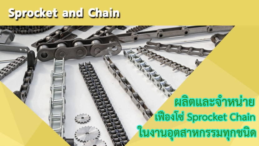 Sprocket-and-Chain