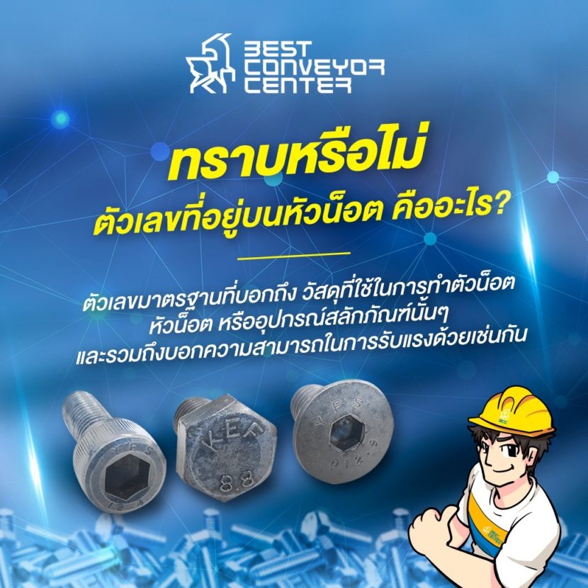 ความหมายตัวเลขบนหัวน๊อต